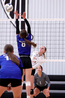 9-12-23 Axtell and Shelto @ Wilcox VB gallery003