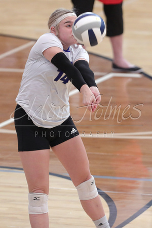 9-12-23 Axtell and Shelto @ Wilcox VB gallery006