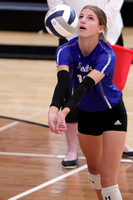 9-12-23 Axtell and Shelto @ Wilcox VB gallery019