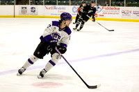 4-24-24 Storm vs Fargo USHL Rnd2 G3 gallery11