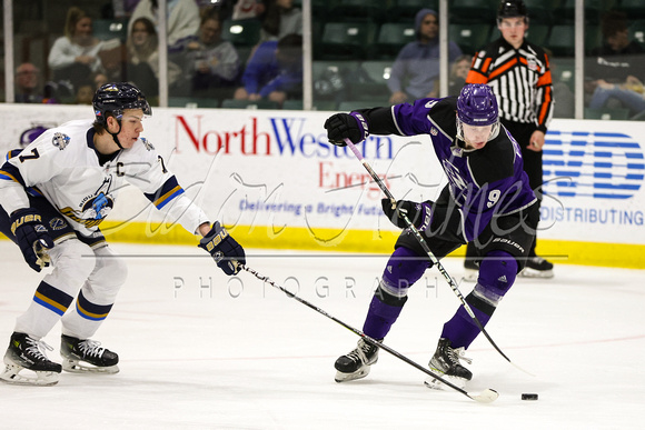 4-5-24 Storm vs Sioux Falls gallery12